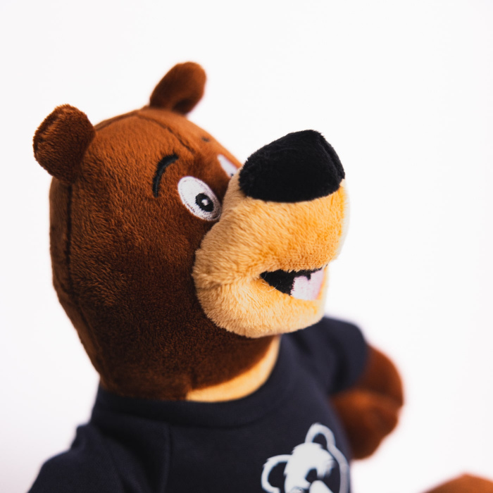 Bristol Bears Briz Teddy