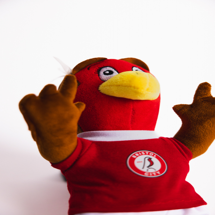 Bristol City Robyn Mascot Teddy