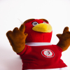 Bristol City Robyn Mascot Teddy