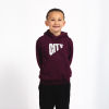 24/25 Bristol City Burgundy Travel Hoodie - Youth