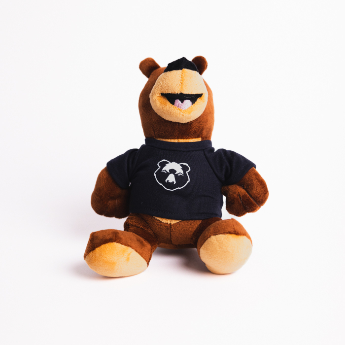 Bristol Bears Briz Teddy