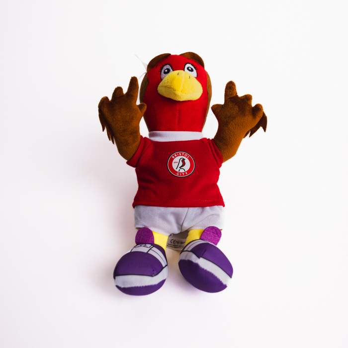 Bristol City Robyn Mascot Teddy
