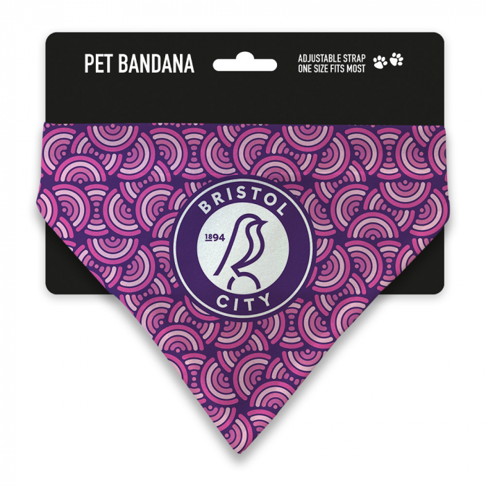 Bristol City Away Goalkeeper Kit Pet Bandana